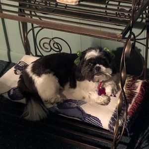 Meet your Posher, Sharon